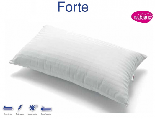 ALMOHADA FORTE