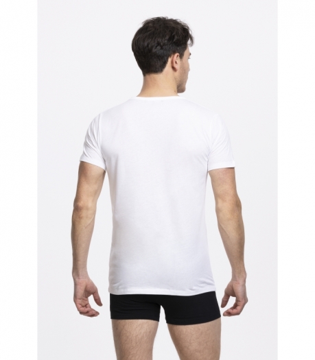 CAMISETA BASICA ALGODON