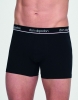 BOXER CABALLERO PB 08